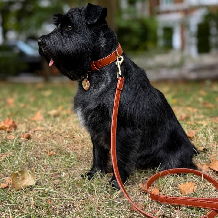 Hazelnut Dog Lead