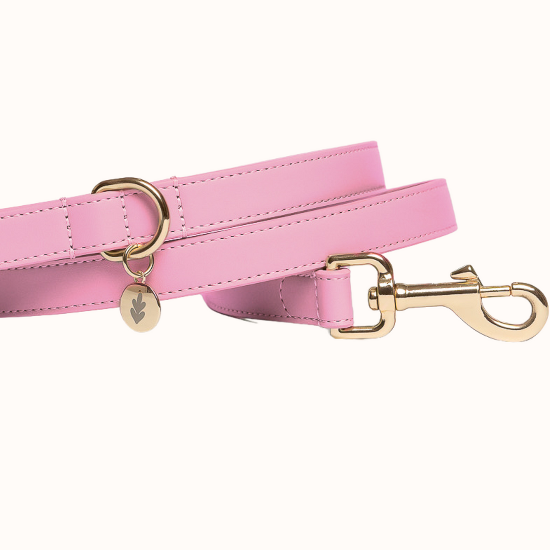 Bunny Pink Dog Lead