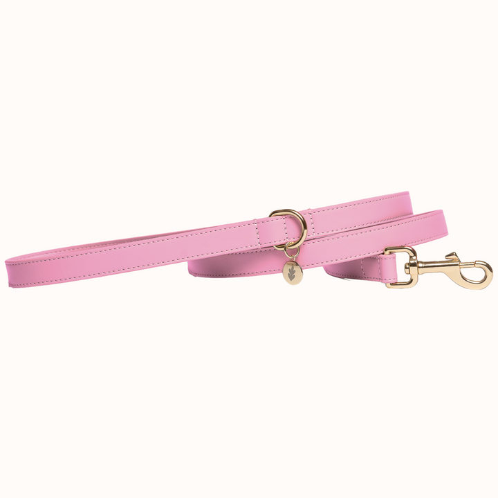 Bunny Pink Dog Lead