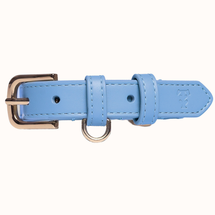 Cornflower Blue Dog Collar