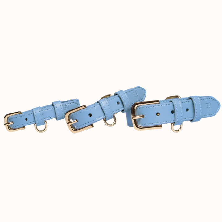 Cornflower Blue Dog Collar