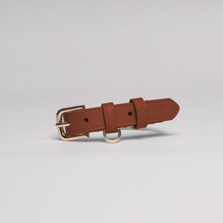 Hazelnut Dog Collar