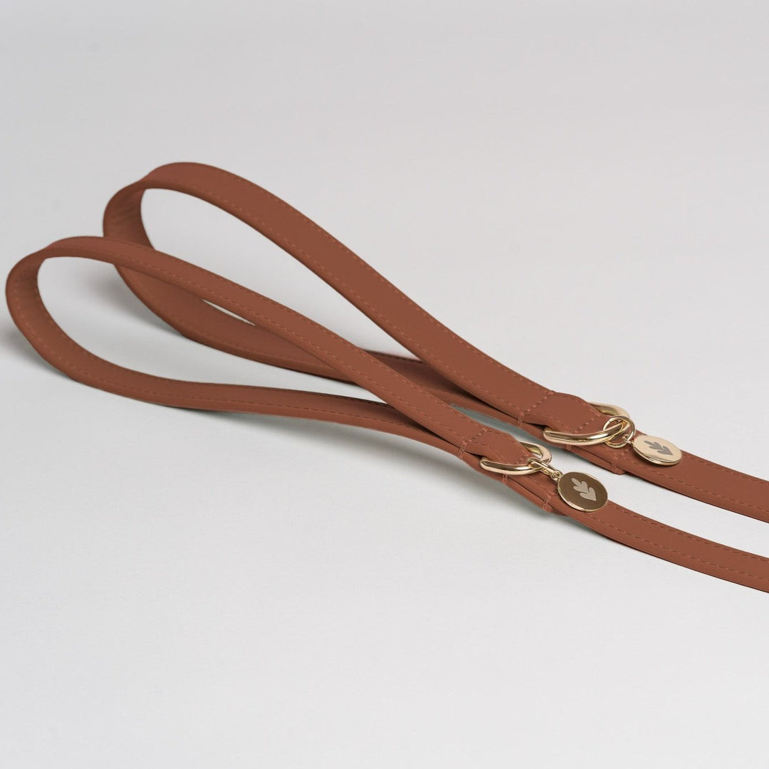 Hazelnut Dog Lead