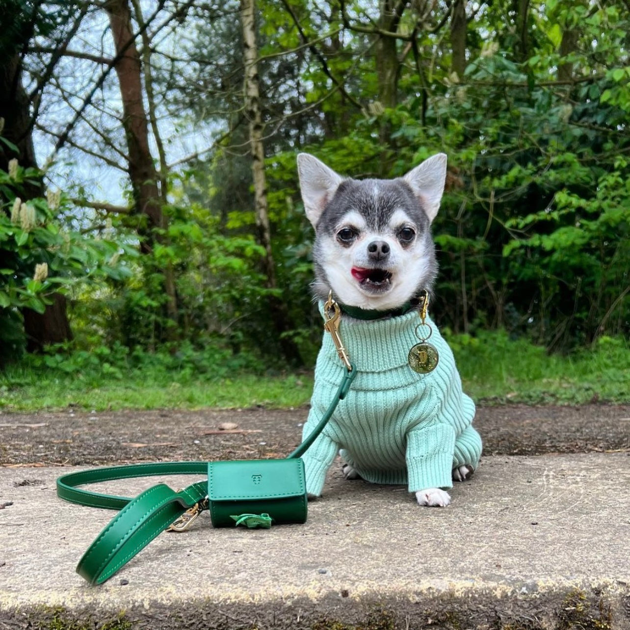 Forest green dog sales collar