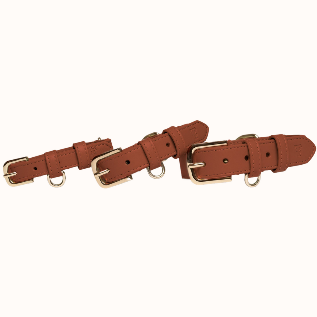 Hazelnut Dog Collar