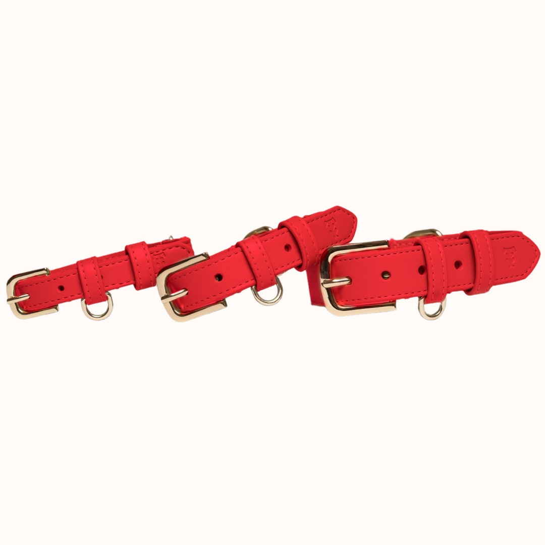 Rouge Dog Collar