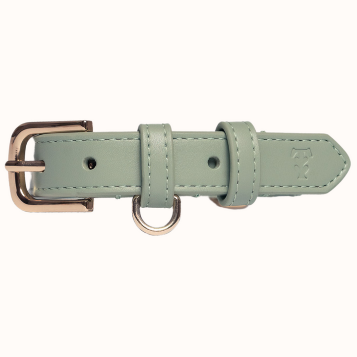 Sage Dog Collar