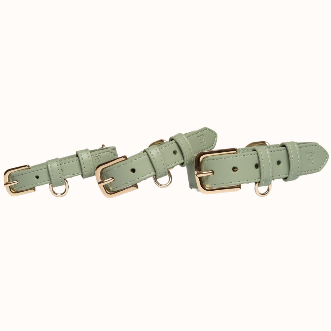 Sage Dog Collar