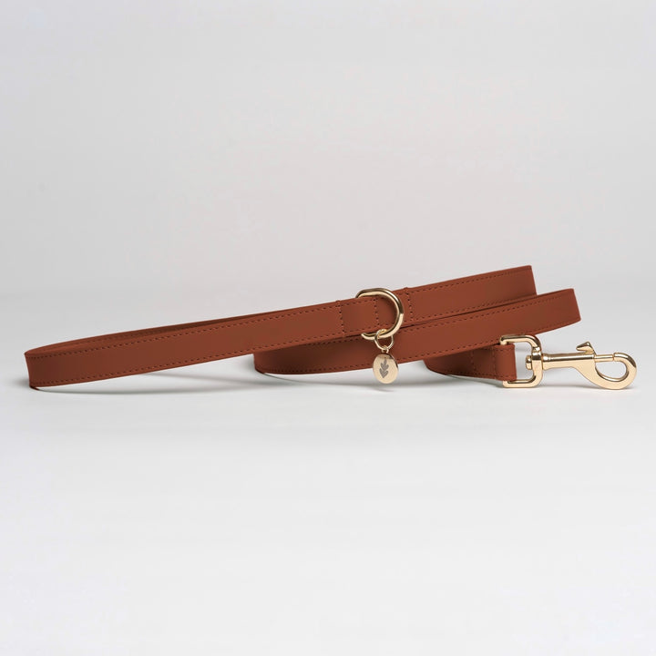 Hazelnut Dog Lead